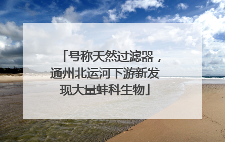 号称天然过滤器，通州北运河下游新发现大量蚌科生物