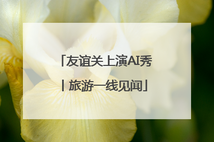 友谊关上演AI秀丨旅游一线见闻