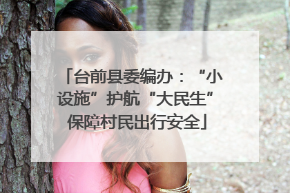 台前县委编办：“小设施”护航“大民生” 保障村民出行安全