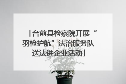 台前县检察院开展“羽检护航”法治服务队送法进企业活动