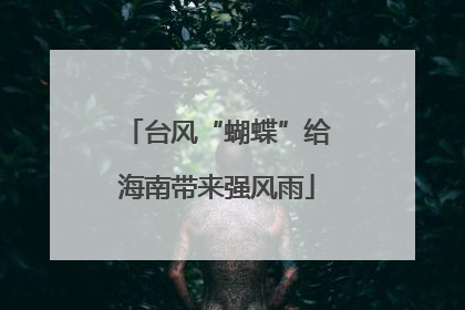台风“蝴蝶”给海南带来强风雨