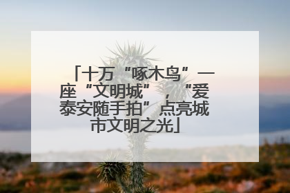 十万“啄木鸟”一座“文明城”，“爱泰安随手拍”点亮城市文明之光
