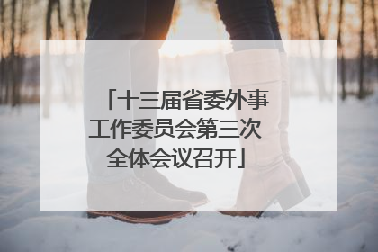 十三届省委外事工作委员会第三次全体会议召开