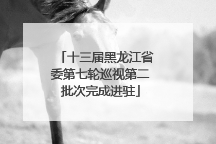 十三届黑龙江省委第七轮巡视第二批次完成进驻