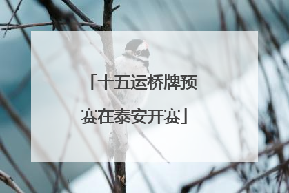 十五运桥牌预赛在泰安开赛