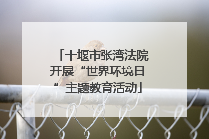 十堰市张湾法院开展“世界环境日”主题教育活动