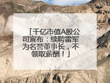 千亿市值A股公司宣布：续聘雷军为名誉董事长，不领取薪酬！