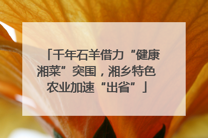 千年石羊借力“健康湘菜”突围，湘乡特色农业加速“出省”