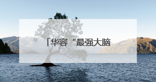 华容“最强大脑”斩获国家金奖
