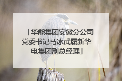 华能集团安徽分公司党委书记马冰武履新华电集团副总经理