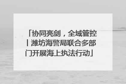 协同亮剑，全域管控丨潍坊海警局联合多部门开展海上执法行动