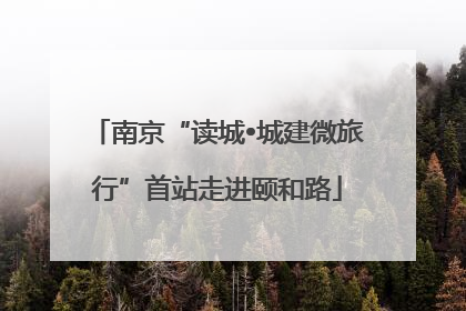 南京“读城•城建微旅行”首站走进颐和路