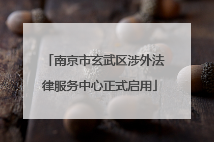 南京市玄武区涉外法律服务中心正式启用