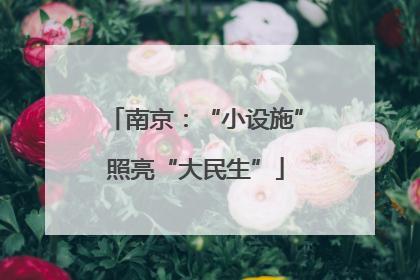 南京：“小设施”照亮“大民生”