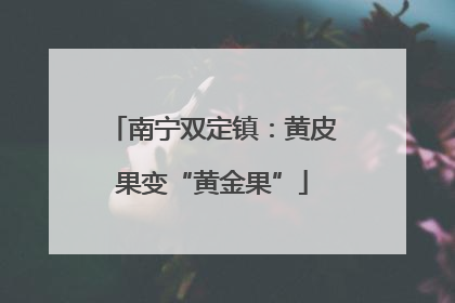 南宁双定镇：黄皮果变“黄金果”