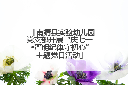 南靖县实验幼儿园党支部开展“庆七一•严明纪律守初心”主题党日活动