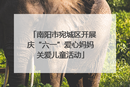 南阳市宛城区开展庆“六一”爱心妈妈关爱儿童活动