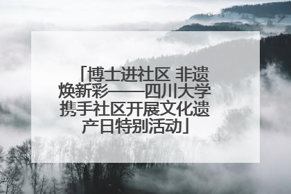 博士进社区 非遗焕新彩——四川大学携手社区开展文化遗产日特别活动
