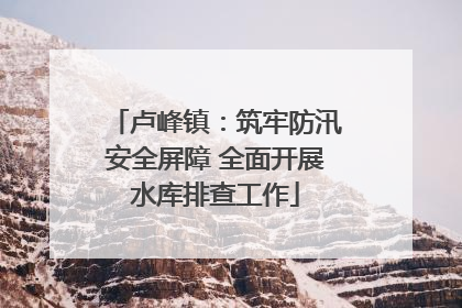 卢峰镇：筑牢防汛安全屏障 全面开展水库排查工作