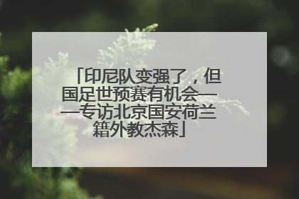 印尼队变强了，但国足世预赛有机会——专访北京国安荷兰籍外教杰森