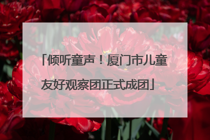 倾听童声！厦门市儿童友好观察团正式成团