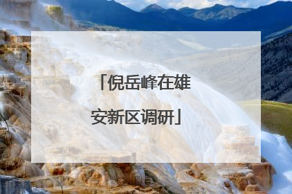 倪岳峰在雄安新区调研