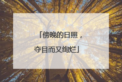 傍晚的日照，夺目而又绚烂