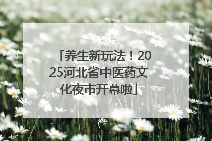 养生新玩法！2025河北省中医药文化夜市开幕啦