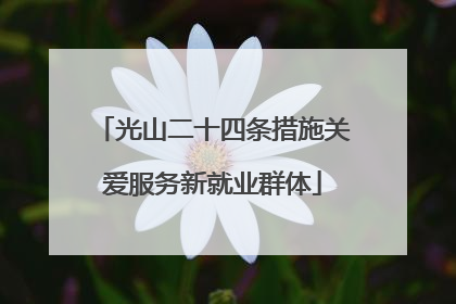 光山二十四条措施关爱服务新就业群体
