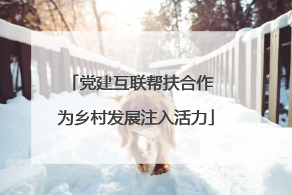 党建互联帮扶合作 为乡村发展注入活力