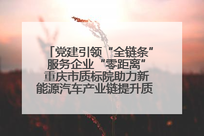 党建引领“全链条” 服务企业“零距离” 重庆市质标院助力新能源汽车产业链提升质量管理水平