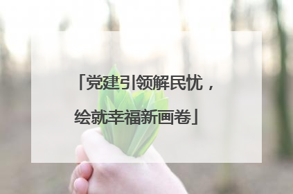 党建引领解民忧，绘就幸福新画卷