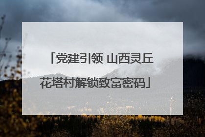 党建引领 山西灵丘花塔村解锁致富密码