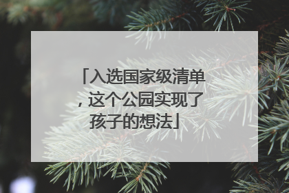 入选国家级清单，这个公园实现了孩子的想法
