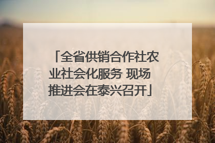 全省供销合作社农业社会化服务 现场推进会在泰兴召开