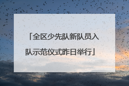 全区少先队新队员入队示范仪式昨日举行