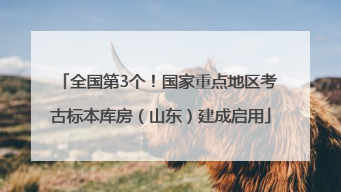 全国第3个！国家重点地区考古标本库房（山东）建成启用