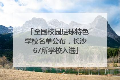全国校园足球特色学校名单公布，长沙67所学校入选
