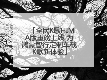 全民K歌HIMA版重磅上线 为鸿蒙智行定制车载K歌新体验