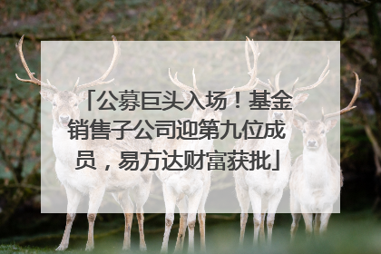 公募巨头入场！基金销售子公司迎第九位成员，易方达财富获批