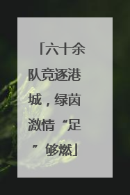 六十余队竞逐港城，绿茵激情“足”够燃