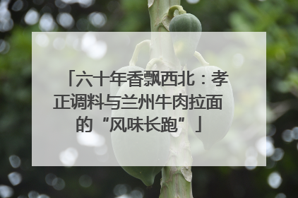 六十年香飘西北：孝正调料与兰州牛肉拉面的“风味长跑”