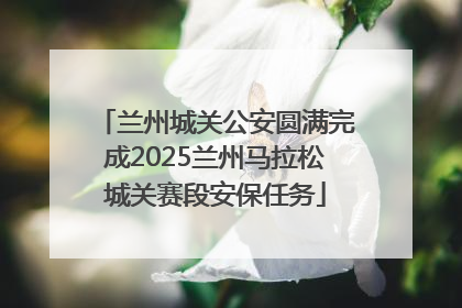 兰州城关公安圆满完成2025兰州马拉松城关赛段安保任务