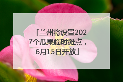 兰州将设置2027个瓜果临时摊点，6月15日开放