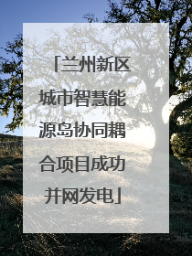 兰州新区城市智慧能源岛协同耦合项目成功并网发电