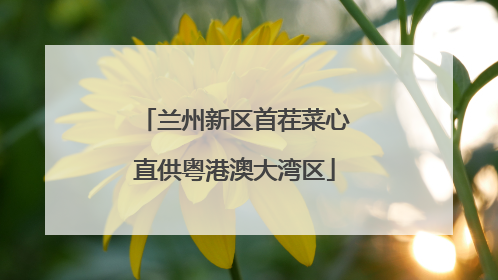 兰州新区首茬菜心直供粤港澳大湾区