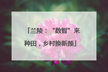 兰陵：“数智”来种田，乡村换新颜