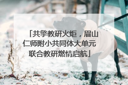 共擎教研火炬，眉山仁师附小共同体大单元联合教研燃情启航