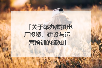 关于举办虚拟电厂投资、建设与运营培训的通知