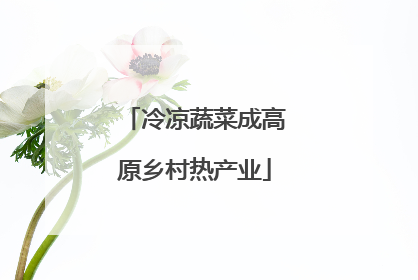 冷凉蔬菜成高原乡村热产业